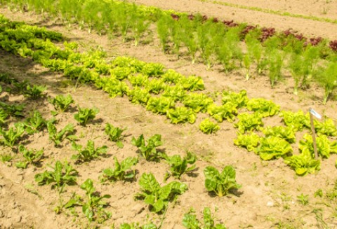 Spotkanie z ambasadorem Zjednoczonych Emiratów Arabskich