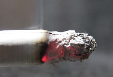 Plantatorzy tytoniu pozostaną bez dopłat?