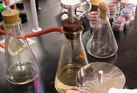 Kiełbasa z probówki