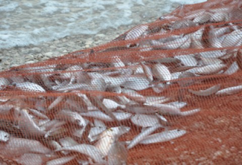 Od dziś ARiMR wznawia przyjmowanie wniosków o przyznanie pomocy na dostosowanie floty rybackiej