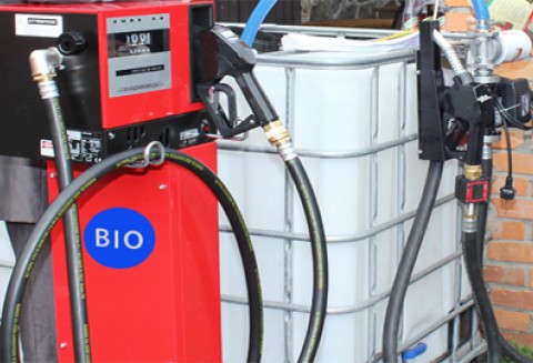 Namibia blokuje powstanie Władze Namibii zablokowały powstanie kolejnych wielkopowierzchniowych plantacji jatrofy