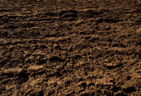 Agencja Nieruchomosci Rolnych bije rekordy