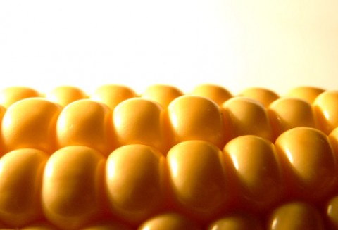 Kryzys na światowym rynku kukurydzy