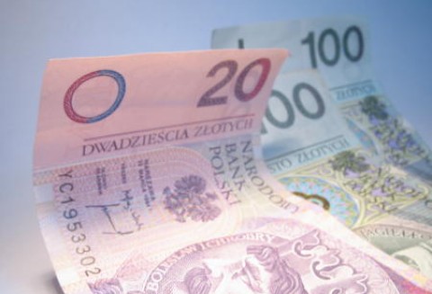 Około 6,7 miliarda złotych przekazała ARiMR rolnikom w ramach dopłat bezpośrednich za 2010 r.