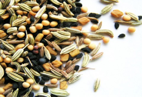 Ustawa o nasiennictwie nie dotyczy upraw GMO