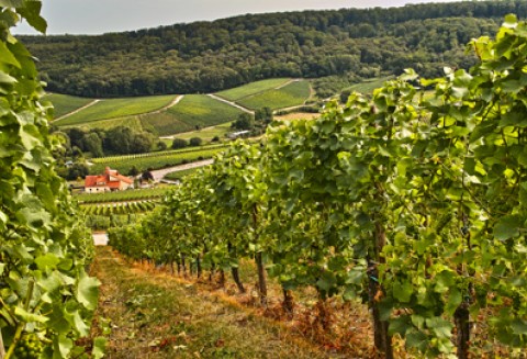 Konferencja Partnerstwa Wschodniego