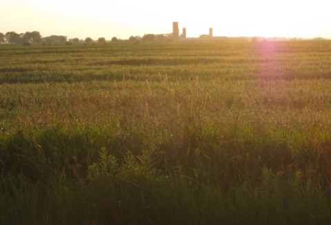 150 lat nauk rolniczych w Puławach