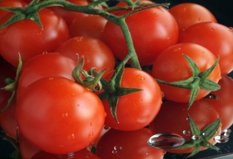 Turcja – Rynek przetworzonych pomidorów