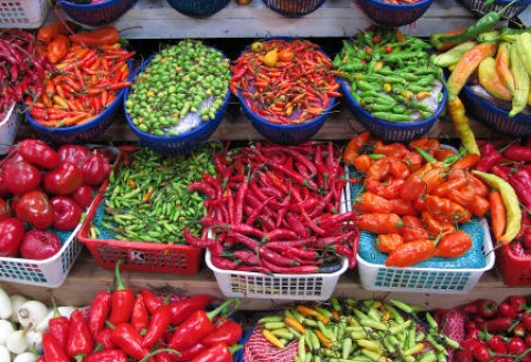 Produkcja ekologicznej żywności to przyszłość