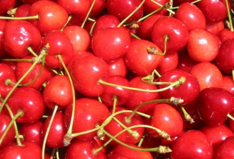 Francja – Rynek owoców pestkowych