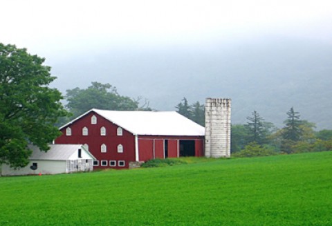 Od 17 października ARiMR rozpoczyna wypłatę dopłat rolnikom gospodarujących