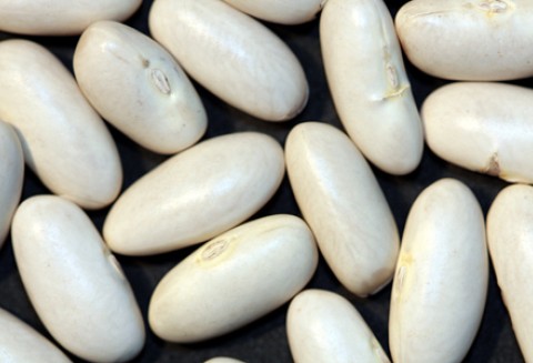 Rejestracja fasoli wrzawskiej jako Chronionej Nazwy Pochodzenia