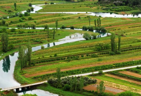 Wielkopolskie rzeki wymagają konserwacji