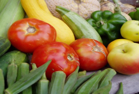 Spotkanie z ministrem rolnictwa Kraju Stawropolskiego