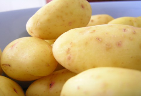 Przemieszczanie ziemniaków z Polski do innych państw członkowskich Unii Europejskiej