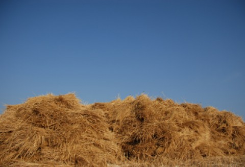 Spotkanie z ministrem w Koszalinie