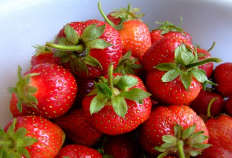 Holandia – Głównym odbiorcą truskawek jest Rosja