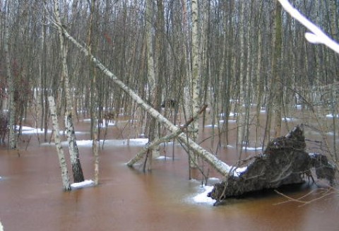 Komunikat ARiMR w sprawie podtopień