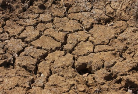 Wielka Brytania – Wielka susza