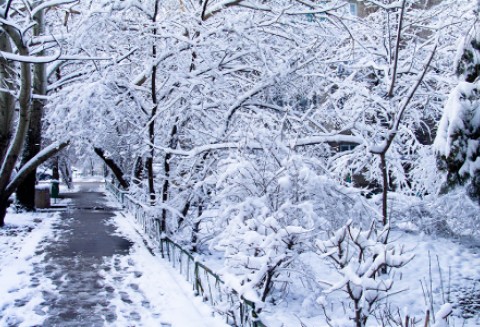 Awarie zasilania na Opolszczyźnie spowodowane nagłym nawrotem zimy