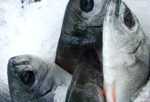Przeterminowane rybne mrożonki
