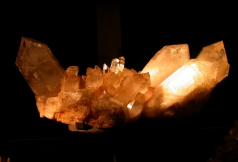 Japonia – Zdumiewające odkrycie