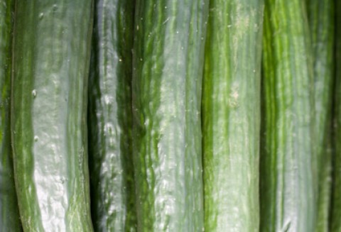 Komunikat Głównego Inspektora Ochrony Roślin i Nasiennictwa dotyczący polskich upraw warzyw