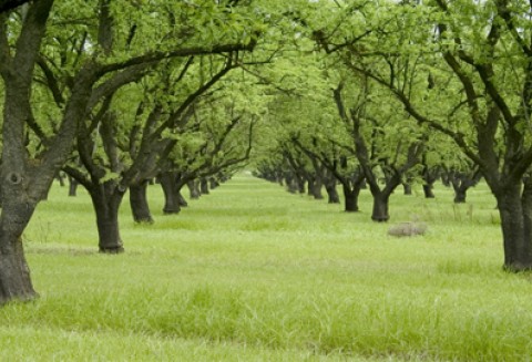 Polskie warzywa z certyfikatem wysłane do Federacji Rosyjskiej