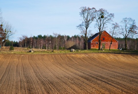 Polska Wieś – europejskie wyzwania