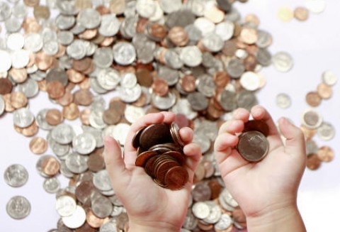 31,7 mln zł. przeznaczyła ARiMR na dopłaty do oprocentowania kredytów planowanych do udzielenia przez banki w I kwartale 2011 r.