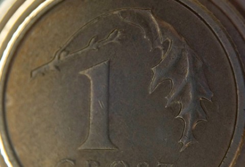 Płatności bezpośrednie w kampanii 2012 r.