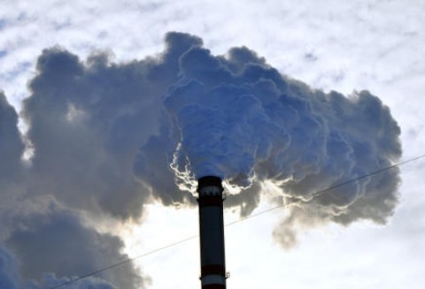 Skażenie powietrza w Ameryce Północnej niszczy europejską pszenicę