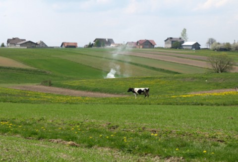 Od nowego roku szkolnego zmieni się system kształcenia zawodowego