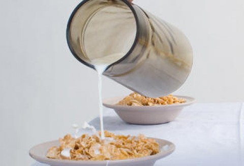 Austria – Wzrost produkcji mleka