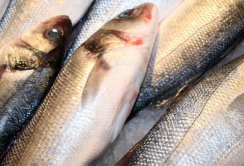 W ramach PO RYBY 2007 - 2013 kwota zakontraktowanych projektów przekroczyła 1,3 mld złotych.