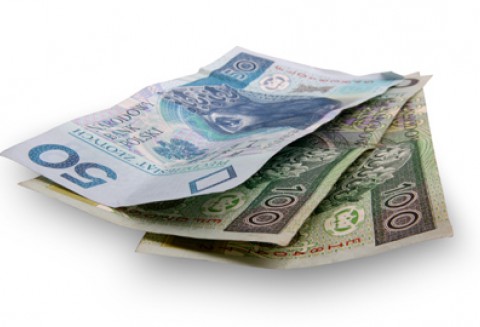 Lokalne Grupy Działania przyjmują wnioski o wsparcie inwestycji z PROW 2007-13. W Polsce działa 336 takich grup. - Lista