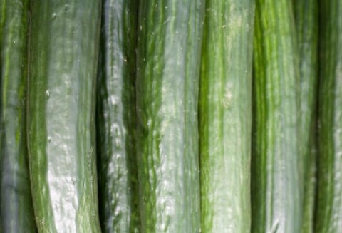 Wzrost cen ogórków szklarniowych