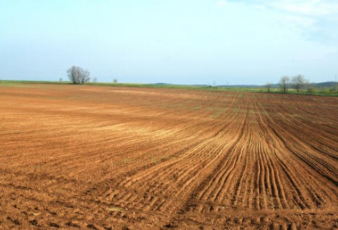 Stan dzierżaw na koniec 2010 r.