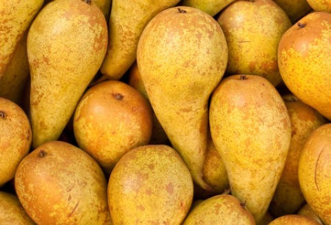 Prognoza produkcji unijnych gruszek