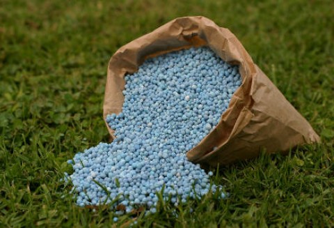 Wiosenne przygotowania w gospodarstwach trwają