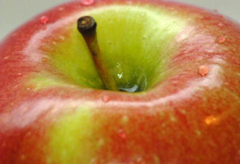 Tegoroczne zbiory jabłek są wyjątkowo dobre