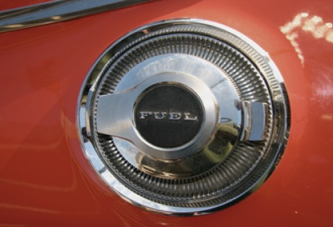 Holendrzy z krajowym systemem certyfikacji biopaliw