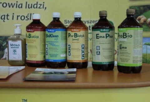 Bezpieczna żywność, czyli probiotyki w gospodarstwie