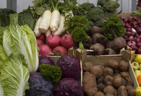 XIII Międzynarodowa Konferencja Naukowa nt. „Rolnictwo ekologiczne – stan obecny i perspektywy rozwoju” w Puszczykowie