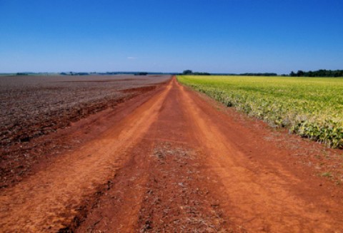 Ogłoszenie Prezesa Agencji Restrukturyzacji i Modernizacji Rolnictwa w sprawie częściowej spłaty kredytów