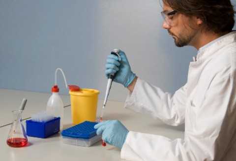 Czechy – W obawie przed epidemią badają też niemieckie mięso