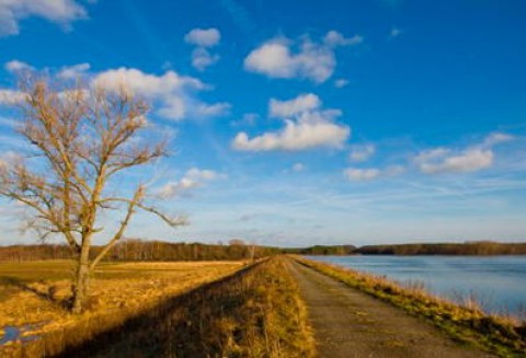 Krzesiński Park Krajobrazowy