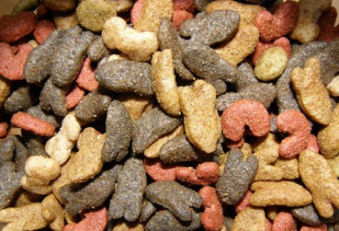 Chiny – Wyprodukowano toksyczną paszę