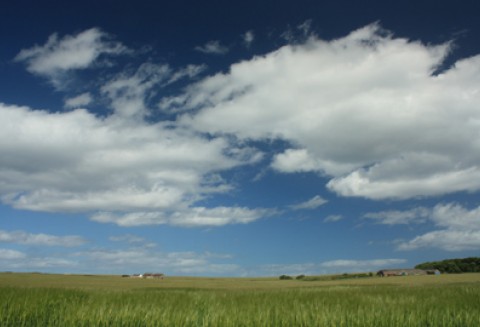 Międzynarodowe seminarium ANR