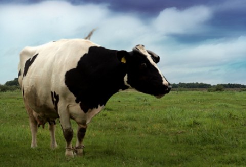 Rok kwotowy ARR OT w Poznaniu